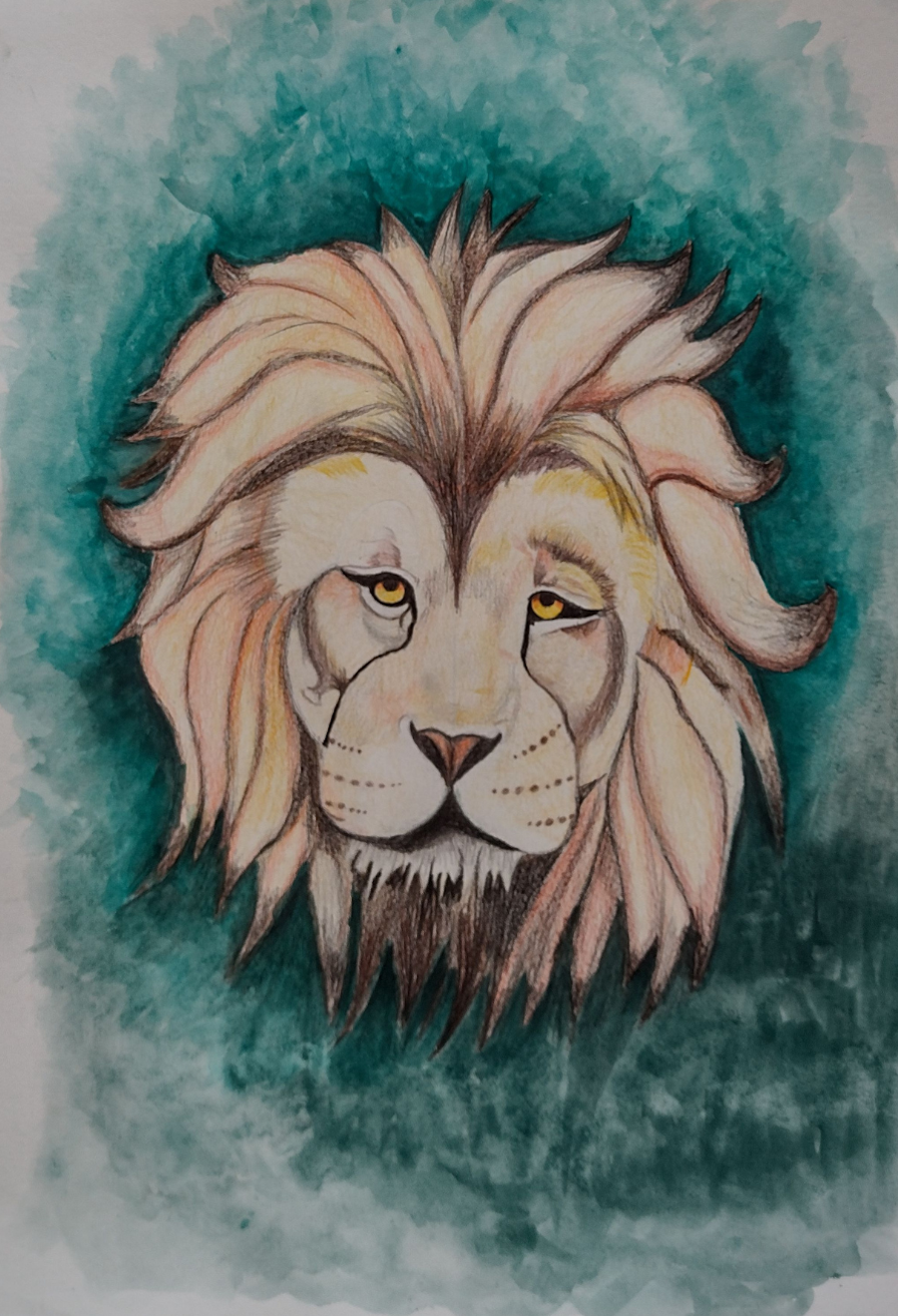 LEÃO - LÁPIS AQUARELÁVEL SOBRE PAPEL - ALI MENHEM