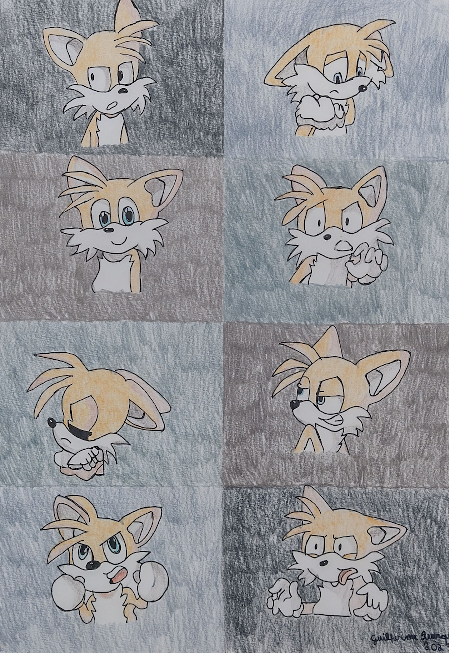 TAILS POR GUILHERME QUERQUI TÉCNICA LÁPIS DE COR SOBRE PAPEL